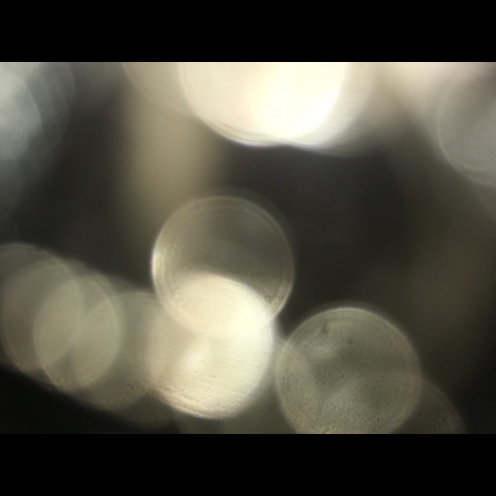 Meet your Posher, ABG